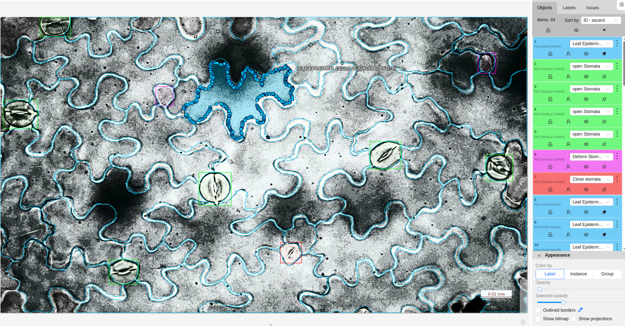 Oxidative Stress Research